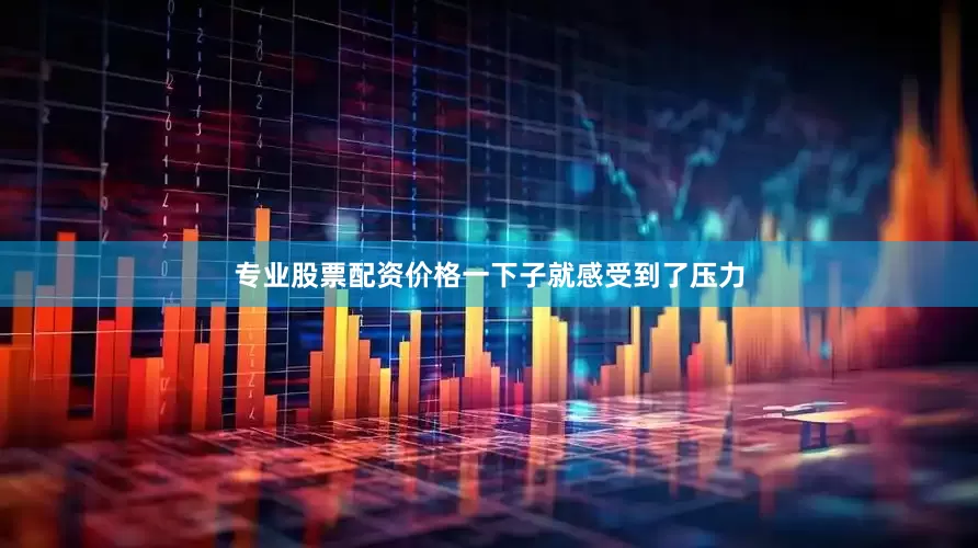 专业股票配资价格一下子就感受到了压力