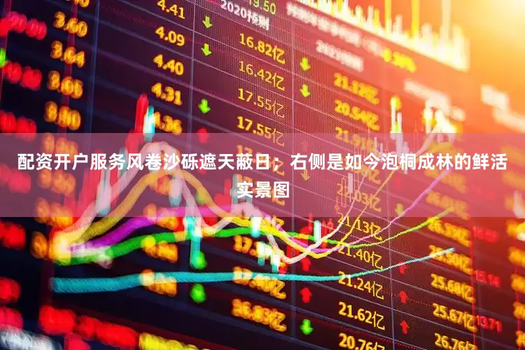配资开户服务风卷沙砾遮天蔽日；右侧是如今泡桐成林的鲜活实景图
