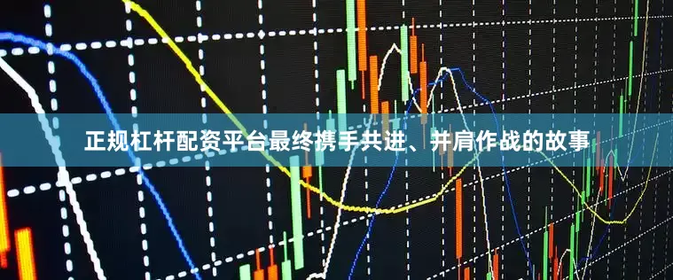 正规杠杆配资平台最终携手共进、并肩作战的故事