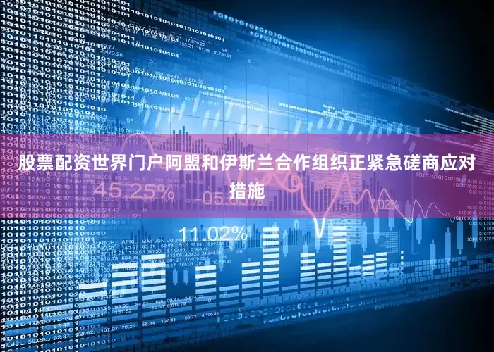 股票配资世界门户阿盟和伊斯兰合作组织正紧急磋商应对措施