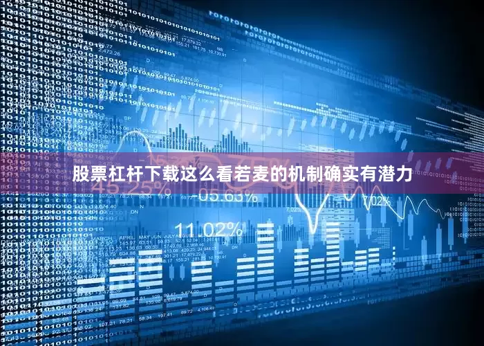 股票杠杆下载这么看若麦的机制确实有潜力