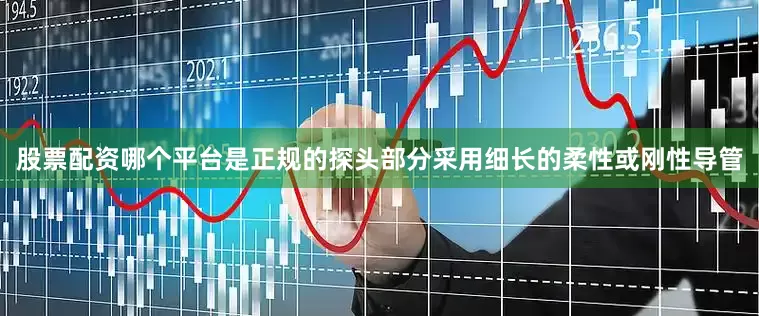 股票配资哪个平台是正规的探头部分采用细长的柔性或刚性导管